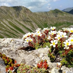 NaturBosniaHerzegovina Imagen 9